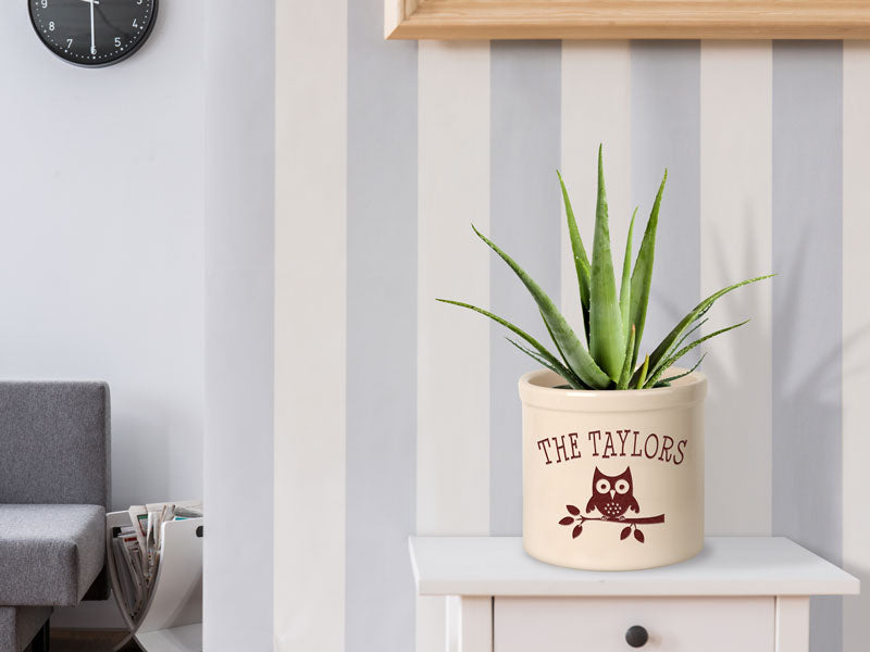 Whitehall Products Personalized Owl 2 Gallon Stoneware Crock Green